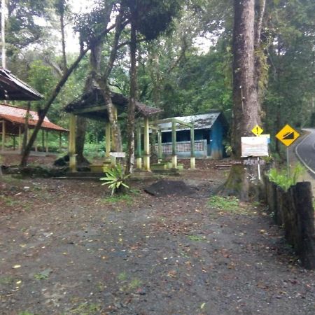イジェン マンシェスティック B&B Tamansuruh エクステリア 写真